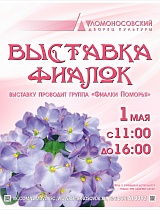 Выставка фиалок